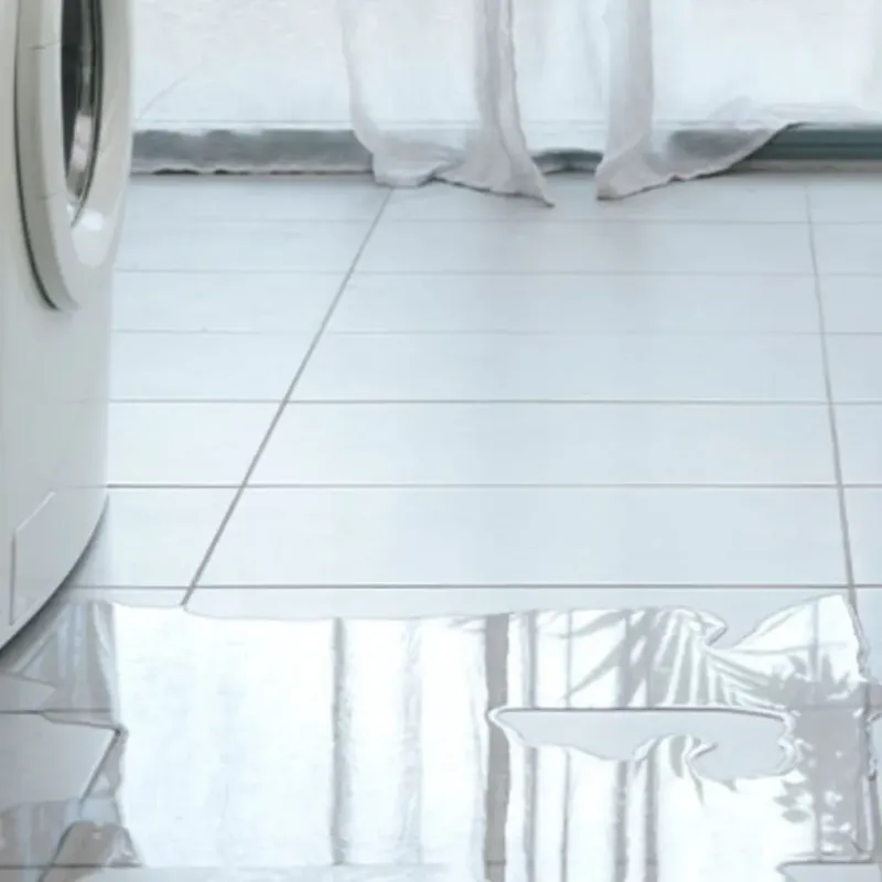 Appliance Leak Cleanup in Princeton, TX