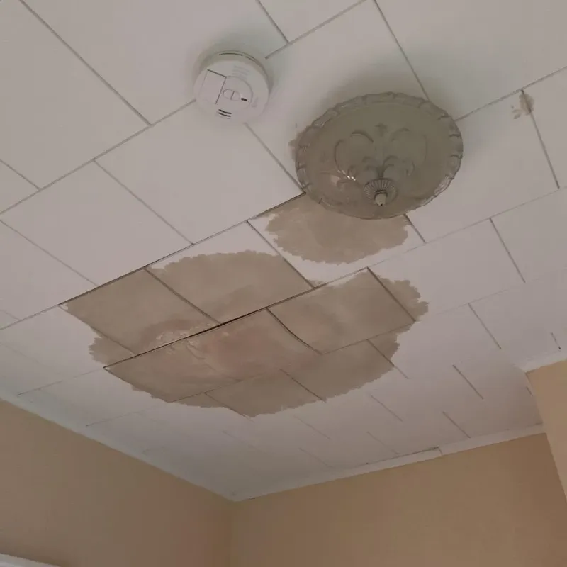 Ceiling Water Damage Repair in Princeton, TX